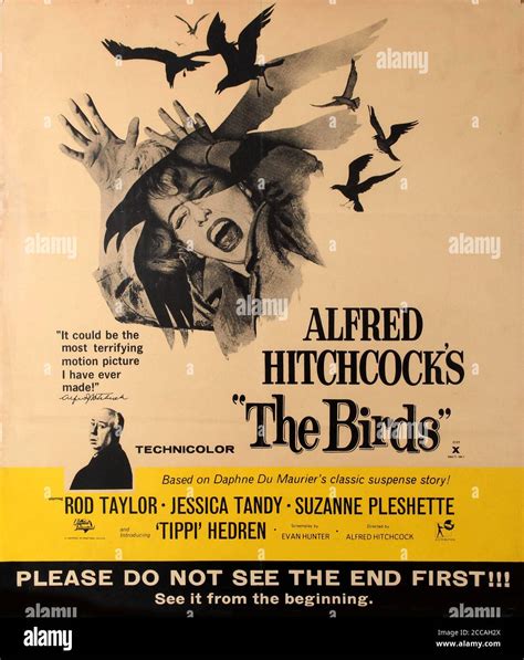 Movie poster The Birds by Alfred Hitchcock. Museum: PRIVATE COLLECTION ...