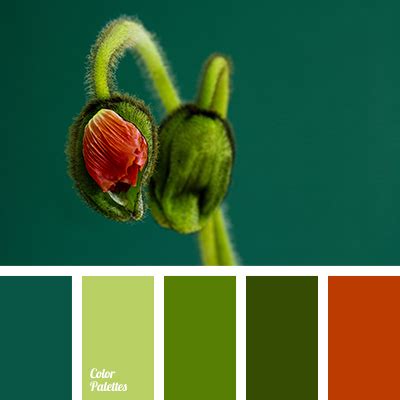 Green Contrast Color Palette - Deriding-Polyphemus