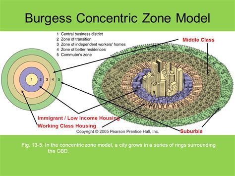 Burgess Concentric Zone Model Urban Structure