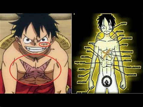 How Does Luffy Get His Scar ~ Luffy Cosplay Help : Onepiece ...