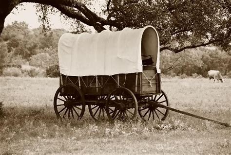 Old Wagon, a photo from Texas, South | TrekEarth | Old wagons, Wagon ...