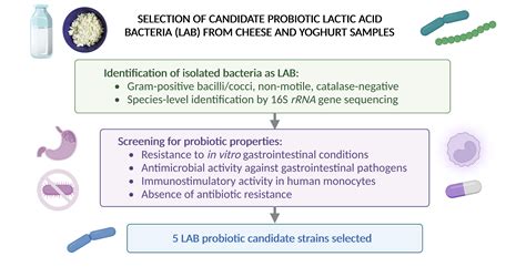 Fermentation | Free Full-Text | Antibacterial and Immunostimulatory ...