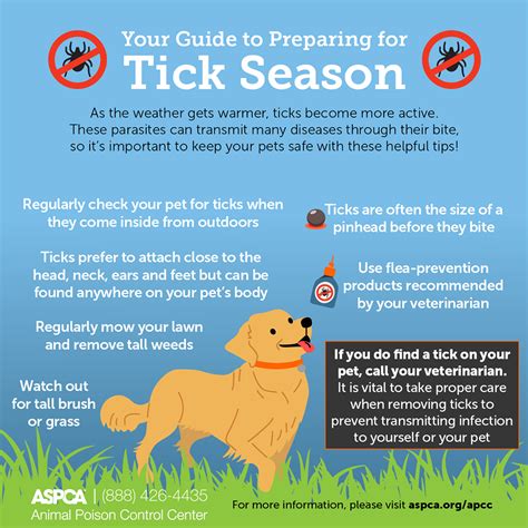 Your Guide to Preparing for Flea and Tick Season | ASPCA