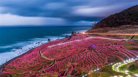 Rice terraces strung with lights, Wajima, Japan © Sean Pavone/Alamy ...