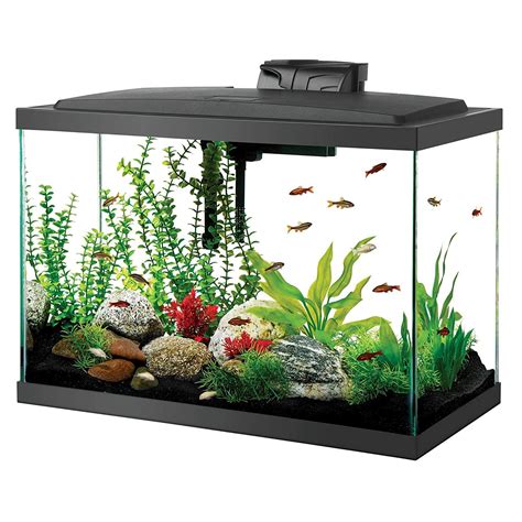 Aqueon Aquarium Fish Tank Starter Kit with LED Lighting 20 Gallon High ...