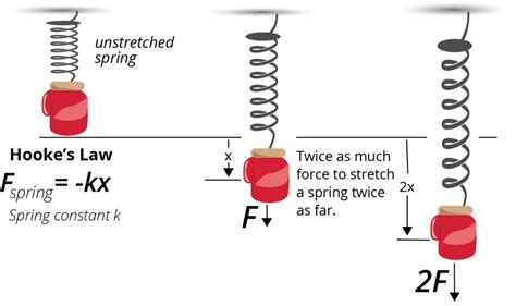 BioMeca - Understanding elastic properties of the skin