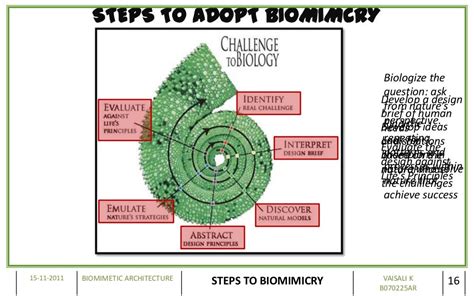 BIOMIMETIC ARCHITECTURE