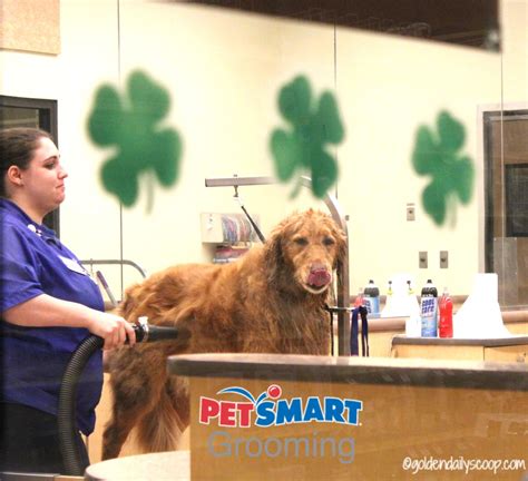 A #PetSmartGrooming Spring Makeover #sponsored