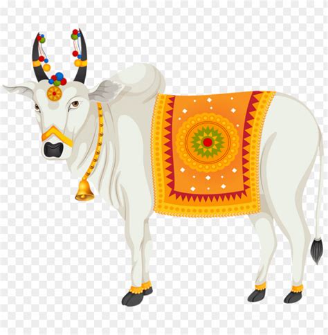 India Holy Cow Transparent Clipart Png Photo - 53542 | TOPpng