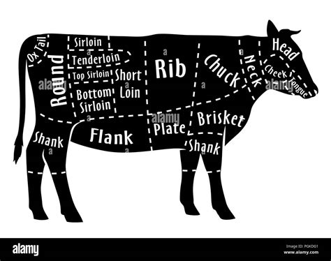 Cut of beef, diagram for butcher. Beef cut Stock Vector Image & Art - Alamy