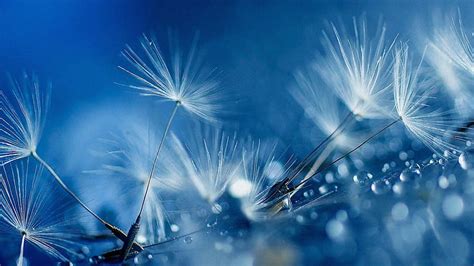 1920x1080px | free download | HD wallpaper: Blue, drops, 1920x1080 ...