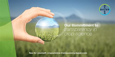 BAYER CROP SCIENCE | IRRIGATION RESEARCH FOUNDATION