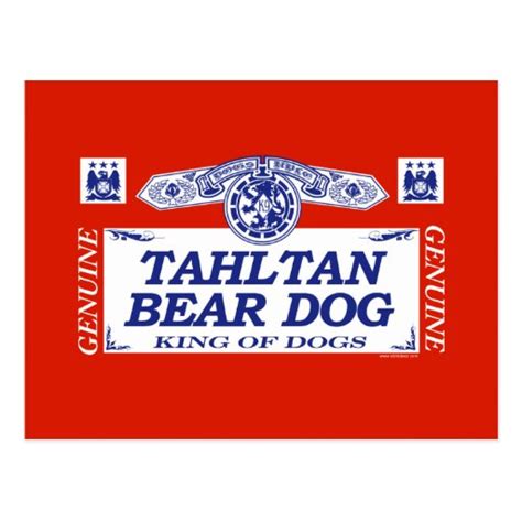 Tahltan Bear Dog Postcard | Zazzle