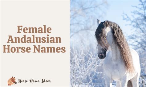 250 Female Andalusian Horse Names (With Meanings) - HorseNameIdeas.com