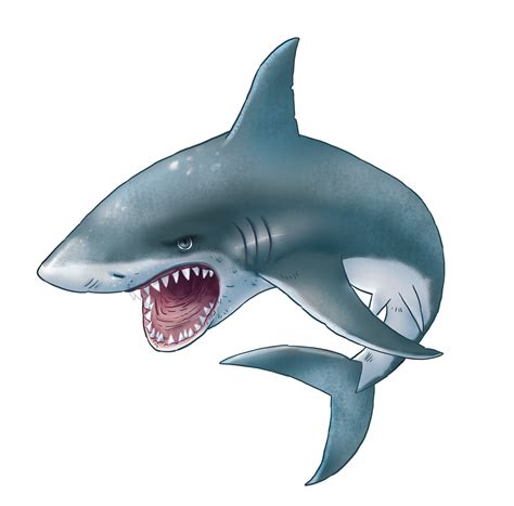 Cute clipart shark, Cute shark Transparent FREE for download on ...