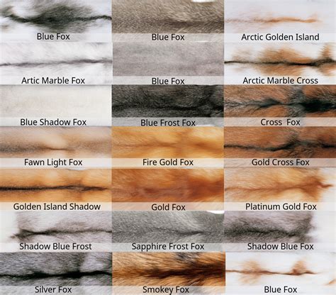 Mink Coat Color Chart