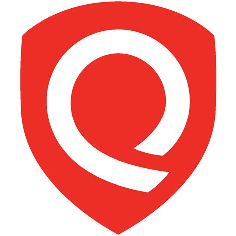 The Web Guy - Qualys Inc - Information on Qualys Inc