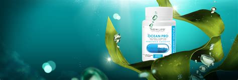 STRENGTH OF THE OCEAN: BODY BENEFITS OF ALGAE