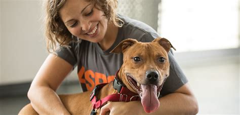 Adoption Tips l How to Adopt l Adopt a Pet l ASPCA