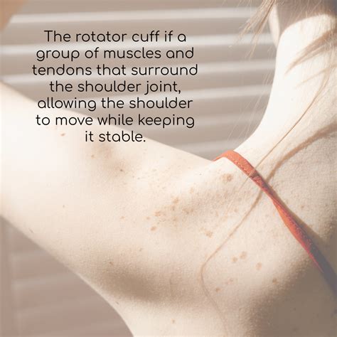 How You Get a Rotator Cuff Injury & How to Help - Chiropractor - Park ...