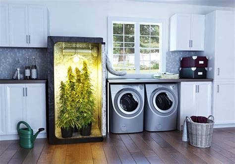 8 Best Grow Tents for Growing Marijuana - 2020 Review