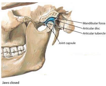 Neuromuscular Therapy for Temporomandibular Joint Disorders and ...