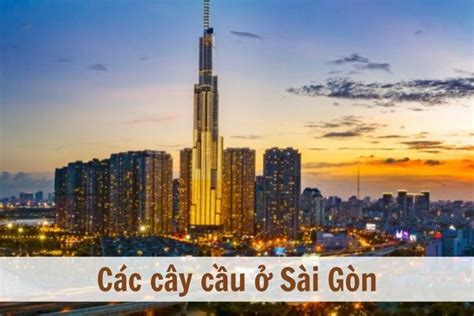 TOP 10 cây cầu ở Sài Gòn đẹp nổi tiếng nên check-in nhất