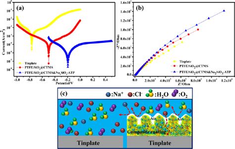 Corrosion resistance test. (a) Potentiodynamic polarization curves. (b ...