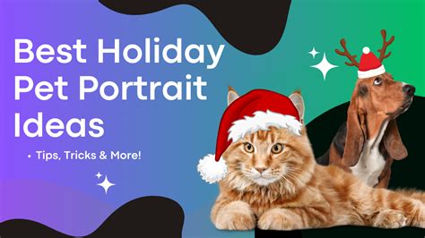 How to Get the Best Christmas Pet Photos: Essential Tips for Holiday ...