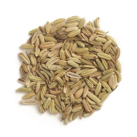 Free photo: Fennel seeds - Abstract, Flavour, Spice - Free Download ...