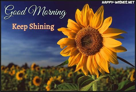 Sunflower Morning Quotes - good morning motivational quotes