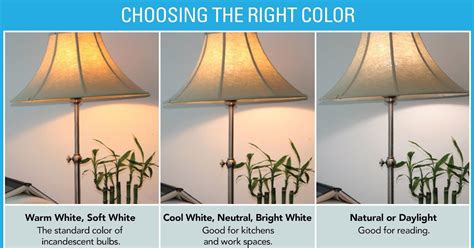 Led Bulb Cool Daylight Vs Warm White - absolutenesshome