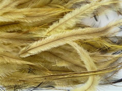 Uniquely Emu Products, Inc.: Medium Emu Feathers