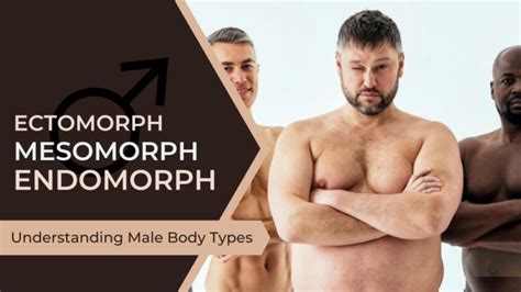 3 Male Body Types: Ectomorph, Mesomorph, Endomorph