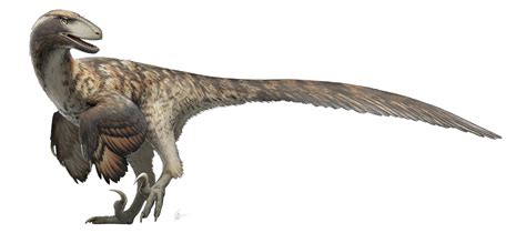 Jurassic Park Got It Wrong: Research Indicates Raptors Didn’t Hunt in Packs