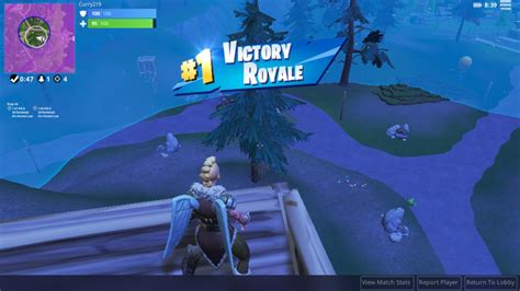 What is with the new victory Royale banner? : r/FortniteBattleRoyale