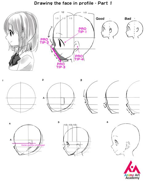 Anime Art Academy - Drawing the face in profile – Part 1