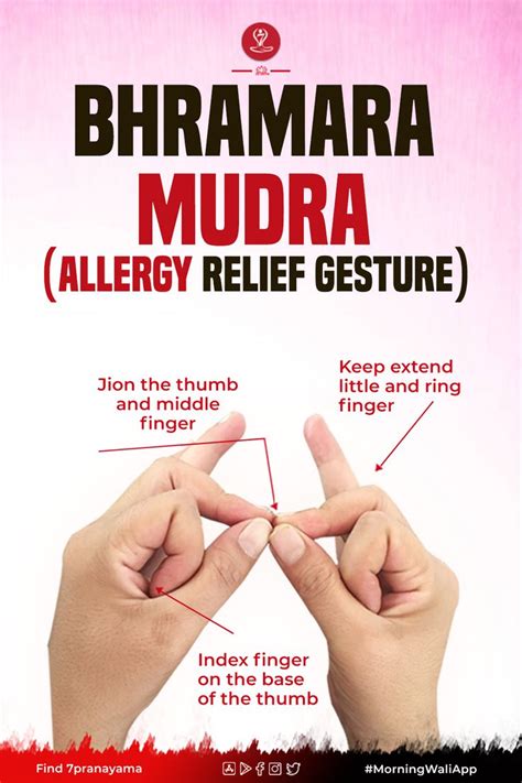 How to do Bhramara Mudra and What are Its benefits? - in 2021 | Mudras ...