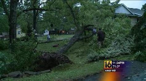 Storm Brings Down Trees in Luzerne County | wnep.com