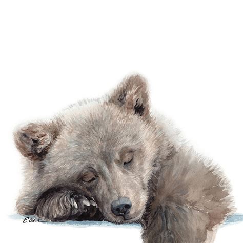 Bear Cub Gift Sleeping Baby Bear Art Print Watercolor Bear | Etsy