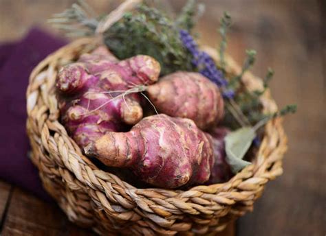 Jerusalem artichoke - planting, growing and harvesting