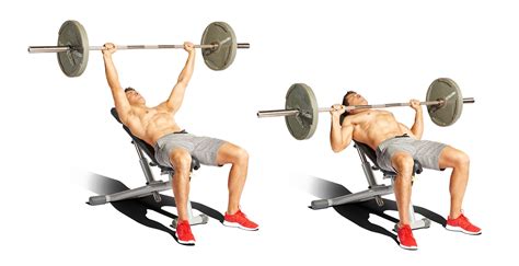 Incline Bench Press Workout Routine | EOUA Blog