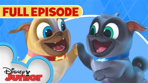 Hawaii Pug-Oh / A.R.F. | Full Episode | Puppy Dog Pals | Disney Junior ...