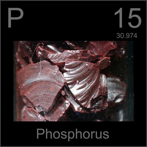 PHOSPHOROUS | I LOVE HOMEOPATHY | Phosphorus element, Phosphorus ...