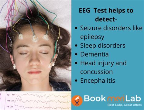 Electroencephalogram Eeg Uses Procedure Results