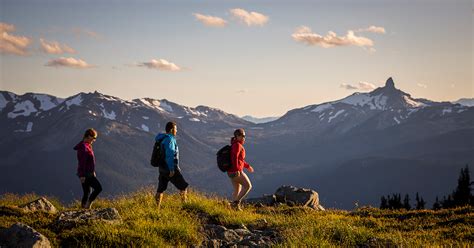 Insider's Guide: Whistler Hiking Essentials - The Whistler Insider