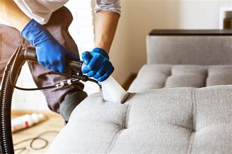 Useful Tips to Choose Best Sofa Cleaner