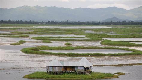 Wildlife panel set to scrutinise Manipur lake resort proposals | Latest ...