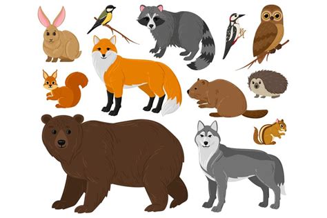 Cartoon forest animals, owl, bear, fox, raccoon and squirrel