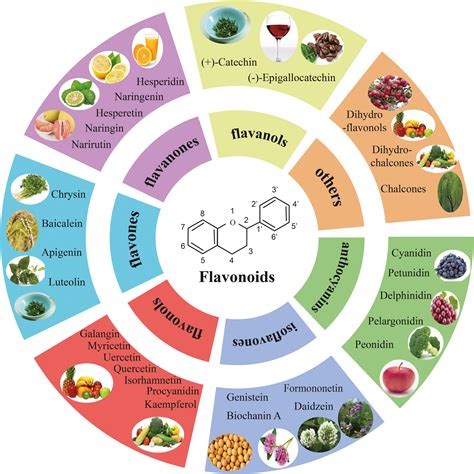 Immunomodulatory potential of flavonoids for the treatment of ...